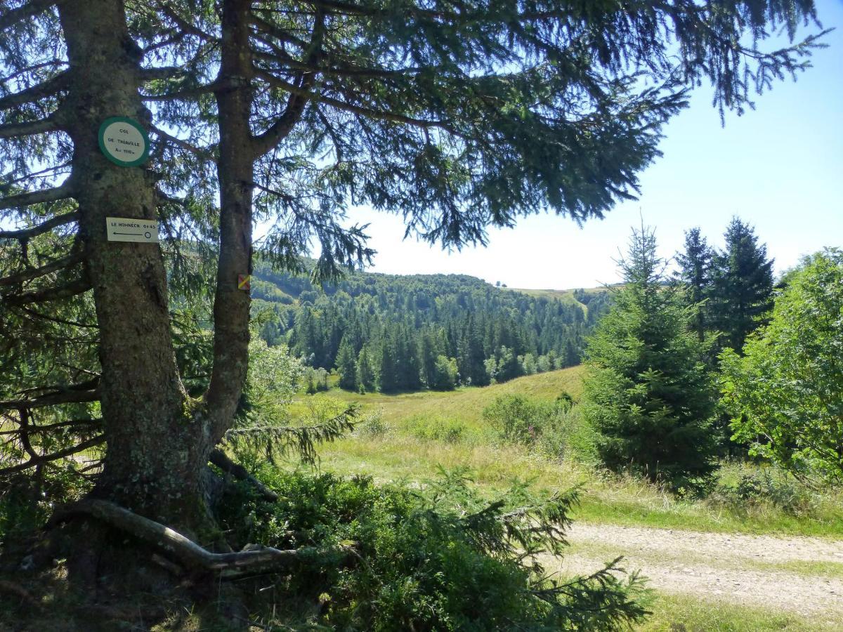 Cosy Appartement La Bresse Centre Ville Екстер'єр фото